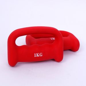 POWER HOUSE FITNESS Boxing Arm Dumbbell Strength Training Weights Combat Grip and Heavy Punch