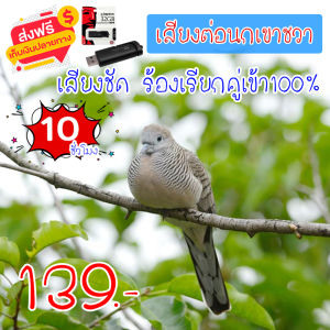 เสียงต่อ เสียงนกเขาชวา แฟลชไดร์ฟเสียงนกเขาชวา สำหรับต่อหรือล่อนก ร้องเรียกคู่ ความยาว 10 ชม.เสียงดัง เสียงใสกังวาน ได้ผล100%