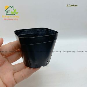 CNVDL2 - Sét 50 chậu nhựa vuông đen ươm trồng cây size 6.2x6cm