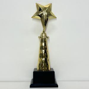 Plastic Trophy with Base (Model XT2220F)
