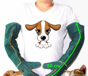 Pet Gloves Pet Training Processing Gloves Cowhide Anti-Scratch And Anti-Bite Protective Gloves Suitable For Dogs Cats Birds Snakes Parrots Lizards(Green)