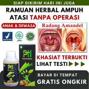 Obat Amandel Untuk Anak2 Dan Orang Dewasa Paling Ampuh Obat Radang Amandel Mulut Bengkak Bau Busuk Kronis Ramuan Herbal Penghilang Batu Amandel Tanpa Operasi Propolis 100% Original Pro DT Herba