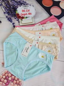 Combo 10 Quần Lót Nữ Cotton Họa Tiết Dể Thương Mềm Mại Thoải Mái Đáng Yêu Size :43 - 57 Kg [8083] - Đồ Lót Quỳnh Nhi