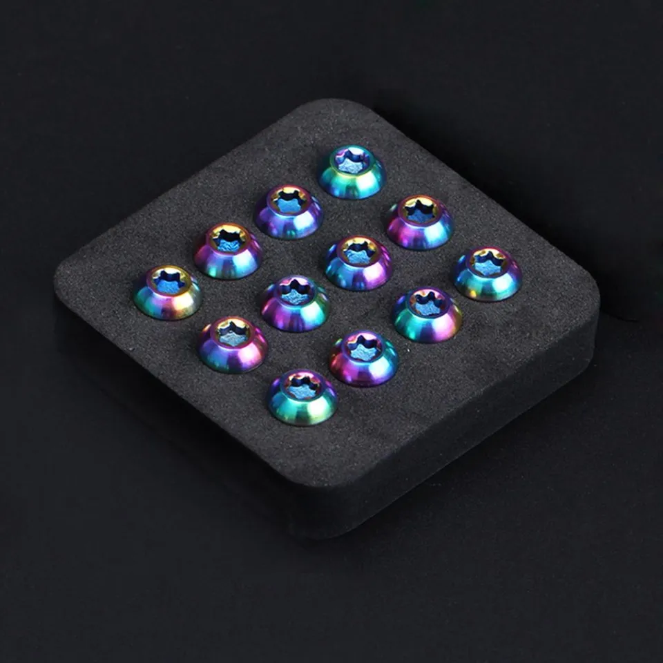 12 Viti Per Disco Freno Bici M5 X 10mm – Torx T25, In Acciaio, Per MTB, Gravel E Road Bike – Risk