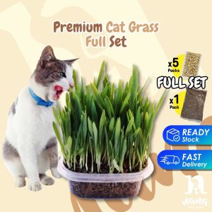 Nanapetshop Cat Grass Set DIY Cat Grass Seed Cat Grass Kit Hairball Solution Biji Benih Rumput Kucing Senang Tanam
