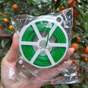 [HCM] cuộn dây cố định lan đủ cỡ (loại có dao cắt sẵn)-Joyee