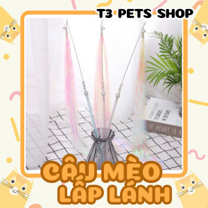 đồ chơi cây câu mèo các loại dành cho mèo yêu của bạn - T3 PETS SHOP