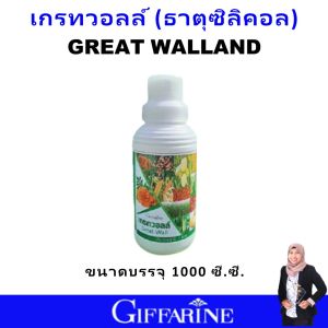 ปุ๋ย ปุ๋ยกิฟฟารีน ปุ๋ยทางใบ ปุ๋ยน้ำ ฮอร์โมนทางใบ เกรทวอลล์ giffarine ธาตุซิลิกอน เพิ่มความแข็งแรง ความทนทานให้กับเซลล์พืช ละลายน้ำง่าย ไม่อุดตันหัวฉีด เพิ่มผลผลิตไว ของแท้ ใช้ง่าย ฉีดพ่นได้กับผักสวนครัว