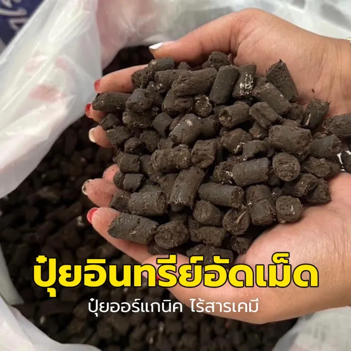 ปุ๋ยอินทรีย์อัดเม็ดจากเศษพืชสดผสมมูลไก่