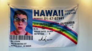 McLovin Fake ID Flag Banner （3 x 5ft）Fake Driver License Flag & One McLovin Drivers License Card for Room Decor Outdoor Parties Gift College Dorm BY LOVEON