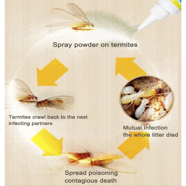 25g/75g%20Termites%20Killer%20Powder%20Termite%20Baiting%20System%20Anti%20Anay%20Treatment%20Powder%20Bait%20Pest%20Control%20Termite%20-%20Image%206