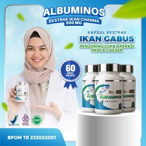 Albuminos - Paket 3 Botol Albuminos Kapsul Ekstrak Ikan Gabus Sari Kutuk Untuk Mempercepat Penyembuhan Luka Pasca Operasi BPOM