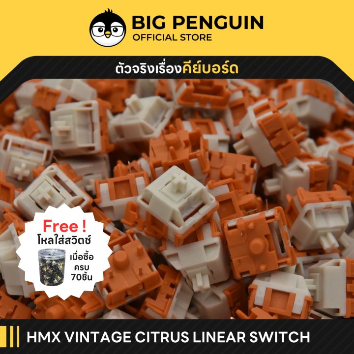HMX VINTAGE CITRUS LINEAR SWITCH FACTORY LUBED Mechanical Keyboard ...