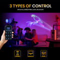 SHEHDS 6W RGB Animation Laser Light Semiconductor Laser With DMX512 & ILDA & RJ45 Art Net Connector for KTV Live Show Wedding DJ Club Theater Performance stage. 