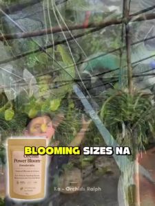 Combo 5 Orchid Power Bloom+ PowderMix Fast Bloom Booster Orchid Fertilizer Healthy Root Flower Formu