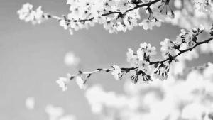 AKRYMI Cream Cloud Perfume 100ml Perfume For Women long lasting Cologne perfume Mist Fragrance