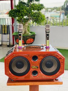 Loa Xách Tay Full Gỗ sang trọng MTMAX K421 Công Suất 300W Hệ Thống 12 Loa Bass Đôi 20 Âm Thanh Sống Động Kèm 2 Micro Không Dây Cao Cấp