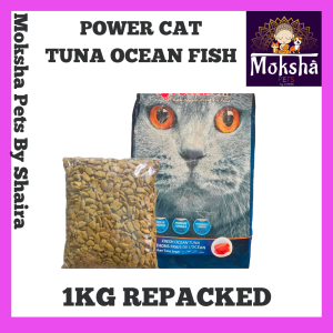 Power Cat Adult / Kitten 1kg Repacked