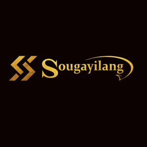 Sougayilang 100M Nylon Fishing Lines Fishing Accessories Carp Fishing Line Super Strong Saltwater Freshwater Line