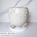 The Leaferie Arnold plant pots. flowerpot . flowerpots . flower pot . planter . planters . Ceramic. 