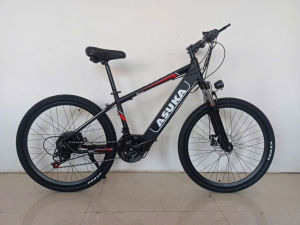 🚴‍♂️ Xe Đạp Điện Trợ Lực 36V10Ah -ASUKA Việt Nam – Di Chuyển Tiết Kiệm An Toàn bảo hành tới 24 tháng 🚴‍♂️