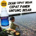 Vitamin Ikan Nila Biar Cepat Besar/Vitamin Meningkatkan Nafsu Ikan Untuk Penggemukan Ikan Nila. 