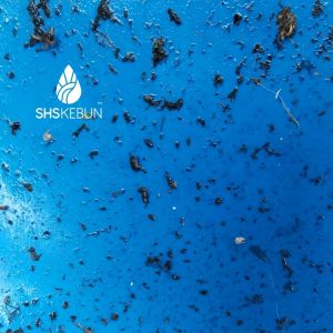 Sticky Trap Double Sided 20x15cm 10pcs for Garden Pest Control Perangkap Lalat Buah 粘虫板 SHS KEBUN