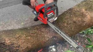 Máy Cưa Xích Chạy Xăng KOMASU - KM 7900