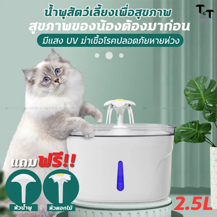 น้ำพุแมวอัตโนมัติราคาประหยัดพร้อมไส้กรอง