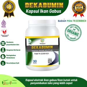 Kapsul Ikan kutuk gabus dekabumin mengatasi masalah kulit jerawat mempercepat menyembuhkan luka