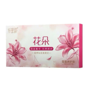 20 hộp Băng vệ sinh chăm sóc điều dưỡng  detox chính hãng hoa sen khử mùi