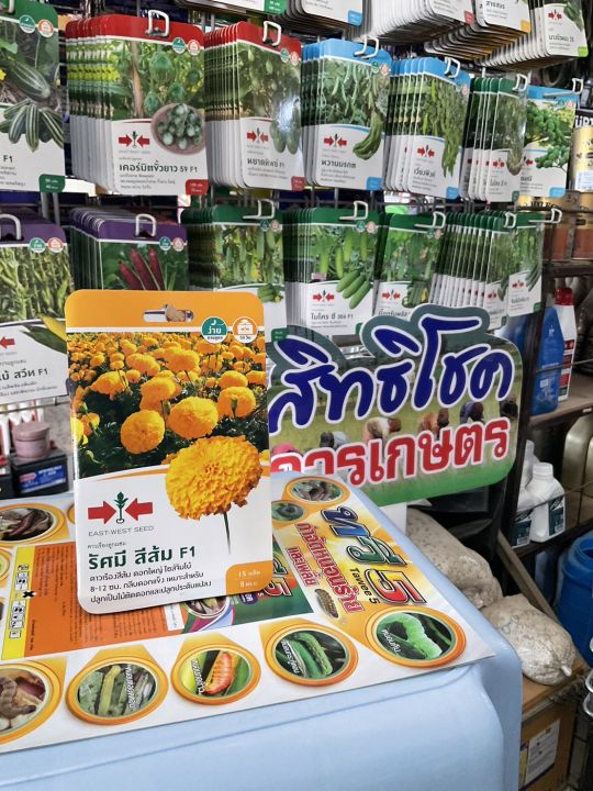 10 อันดับ เมล็ดพันธุ์ดาวเรืองลูกผสม ยี่ห้อไหนดี? อัปเดตปี 2025