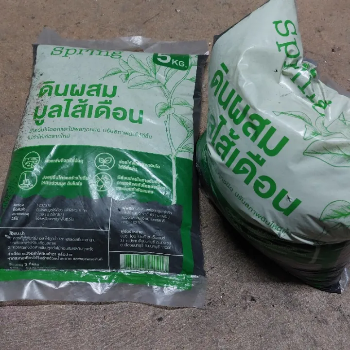 9 อันดับดินปลูกผสมมูลไส้เดือนที่ดีที่สุดสำหรับสวนของคุณ อัปเดตปี 2025