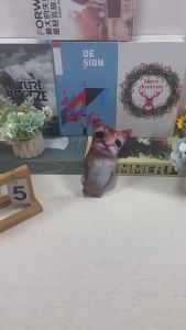 New Toys elgato cat plush Cute Realistic Plush Toy Kitten Doll Stuffed Animal