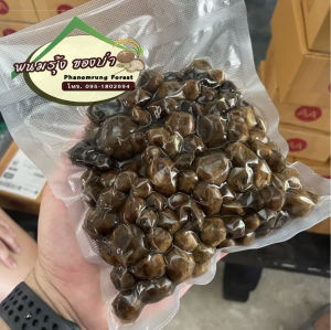 🍄เห็ดเผาะหนัง🍄เห็ดป่าแท้ธรรมชาติ สินค้าของดี หากินยาก เป็นเห็ดหนังกลางฤดูถนอมไว้ต้มสุกแล้ว