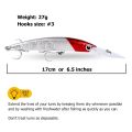 17cm/27g Subid Trolg Fishing Lure Deep Dive Artificial Bait for Tangigue Tuna at iba pa. 