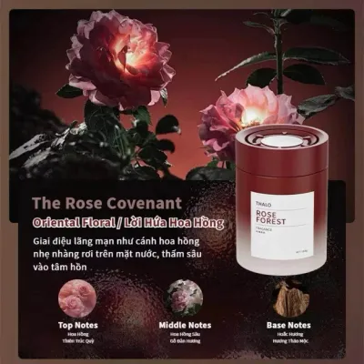 Sáp Thơm Ô Tô Thiên Nhiên Cao Cấp 180g – Nước Hoa Ô Tô Khuếch Tán Hương Thơm Lâu Trang Trí Xe Hơi