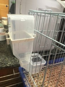 Máng ăn tự động cho chim gà