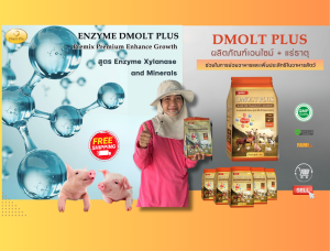 อาหารหมู DMOLT PLUS  ดีมอลต์ พลัส เอนไซม์และแร่ธาตุเพื่อการเจริญเติบโต