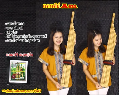 แคนแปด คีย์ Am งานรับประกันคุณภาพ ส่งฟรี!! แถมคู่มือ