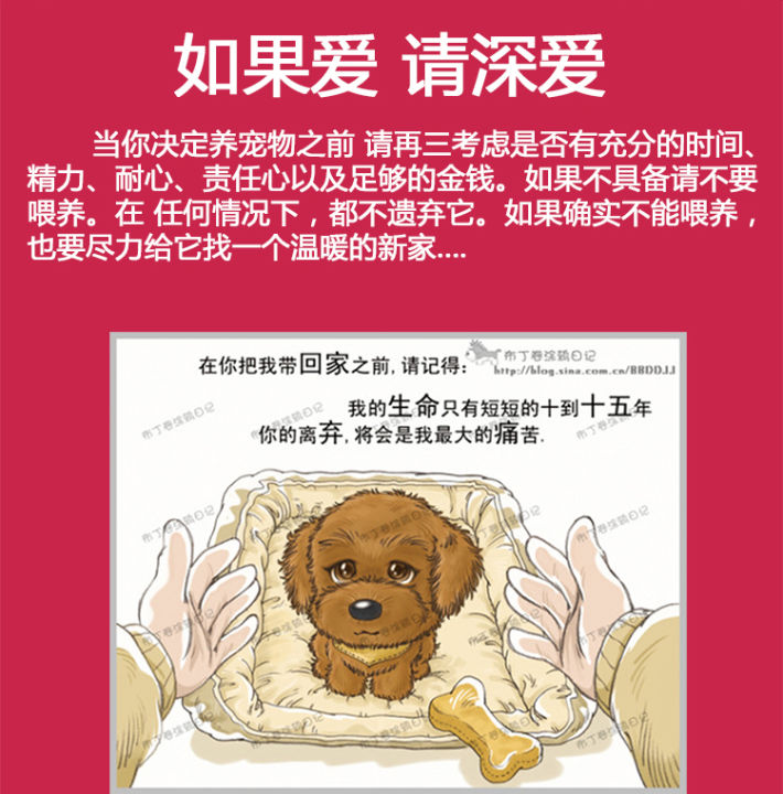 Pure%20teddy%20puppies,%20poodles,%20pets,%20dogs,%20live%20larvae,%20teacups,%20small%20dogs,%20flying%20ears%20and%20gray%20teddy.%20-%20Image%205