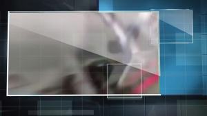 Brand New W27C512-45 W27C512-45Z DIP-28 Direct Plug DIP-28  Integrated Circuit   Memory