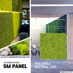 Moss Wall SCANDIAMOSS SM Panel Spring Green Color | Reindeer Moss Panels 12"X12" | Preserved Moss | Colorful Moss for Green Wall Art Wall Decor Arts and Crafts
