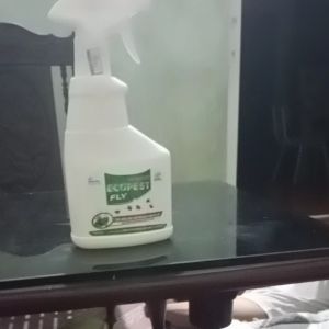 Thuốc diệt Ruồi Nhặng Ecopest Fly 500 ml