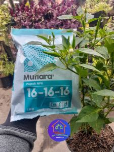 COD 1kg Pupuk Mutiara npk 161616 Asli Pabrik Penyubur Tanaman Daun dan Buah REPACK
