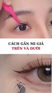 Lông mi giả tách sợi tự nhiên (Kèm Keo Nhíp) mi cụm mi tai thỏ mi giả anime mi giả dưới cao cấp