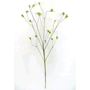 Thân Cây Giả Có Lộc Sần Lộc Ngắn-Trumsicayhoagia