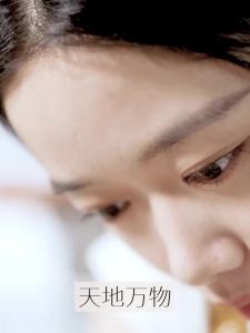 【重磅上新】诗佩妮不卡纹烤粉柔纱粉饼定妆控油补妆遮瑕清透提亮[Heavily updated] Sipani Buka pattern baking powder soft yarn powder makeup setting oil control makeup repair concealer clear and brightening