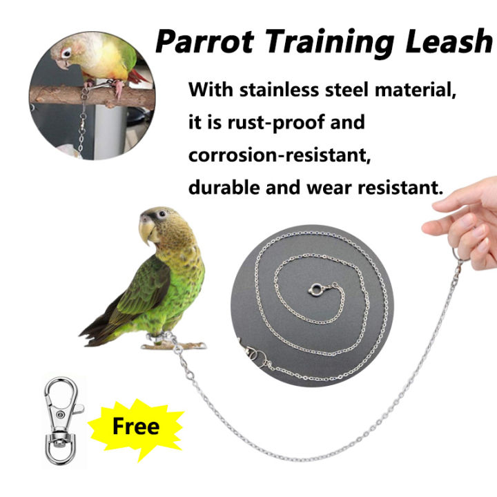 Stainless Steel Parrot Training Leash Bird Foot Chain with