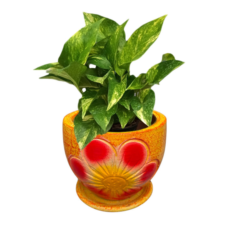 กระถางดินเผา 6 นิ้ว พร้อมจานรอง รับประกันคุณภาพ